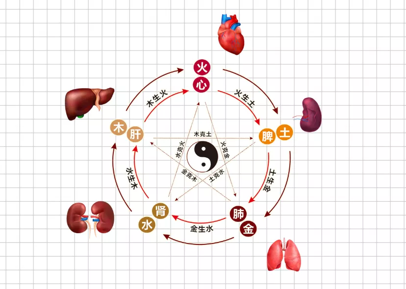 图片[3]-1.1阴阳五行理论–《经络穴位学习笔记》-紫竹云轩