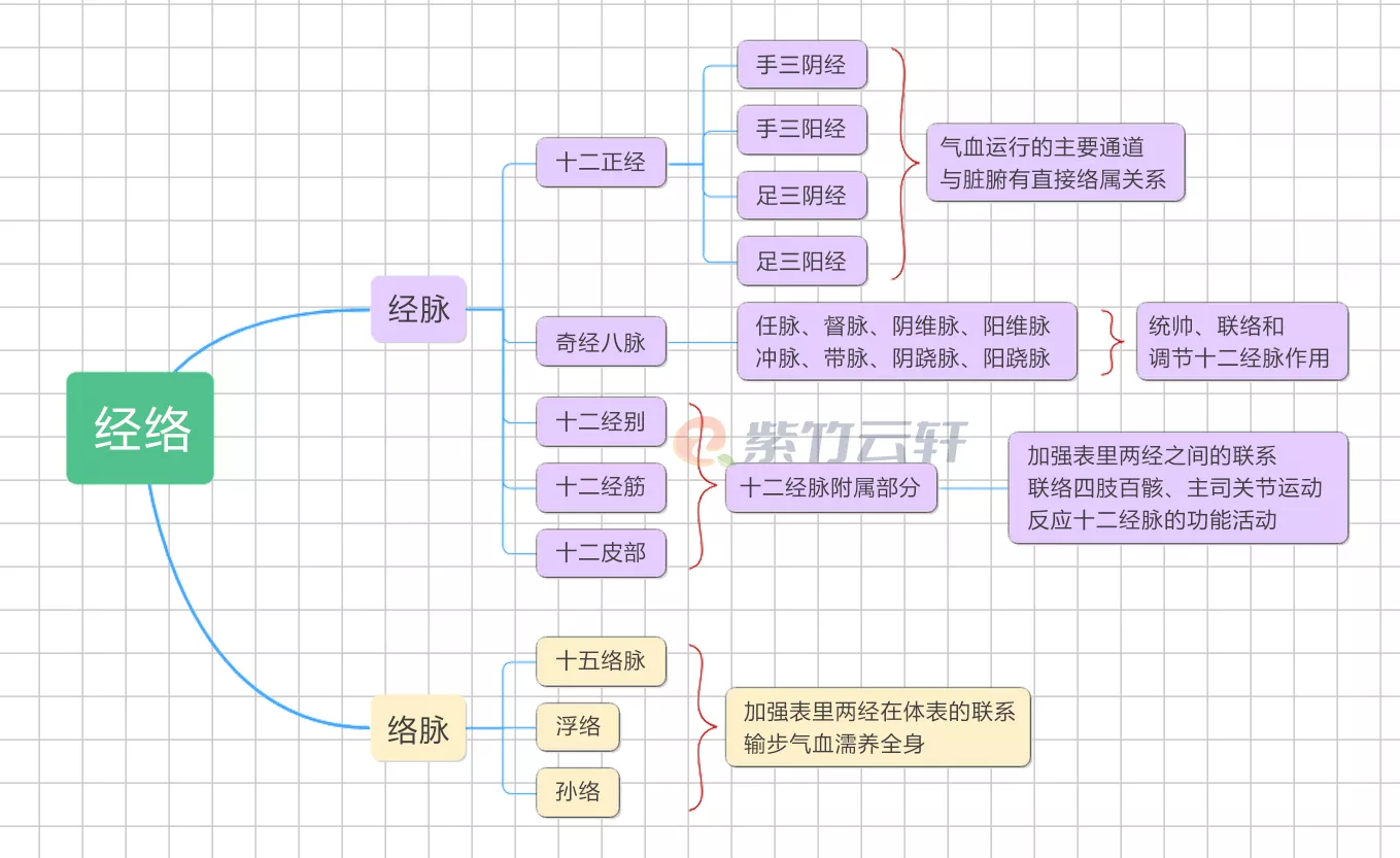 图片[2]-1.2 经络与穴位–《经络穴位学习笔记》-紫竹云轩