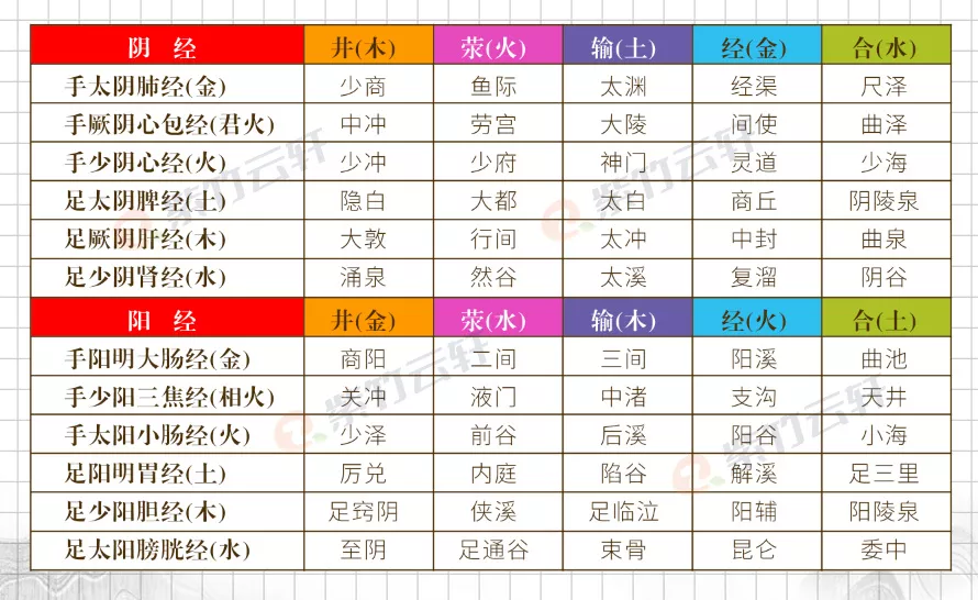 图片[3]-1.2 经络与穴位–《经络穴位学习笔记》-紫竹云轩