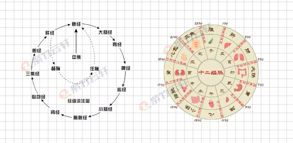 图片[2]-1.3 经络与天干地支–《经络穴位学习笔记》-紫竹云轩