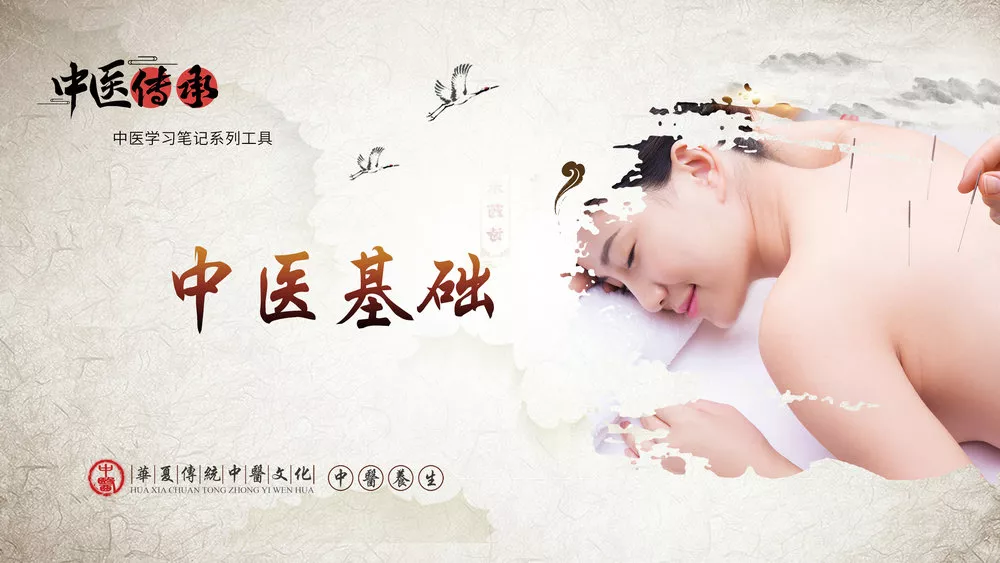 中医基础-紫竹云轩