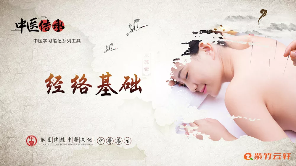 针灸经络基础-紫竹云轩