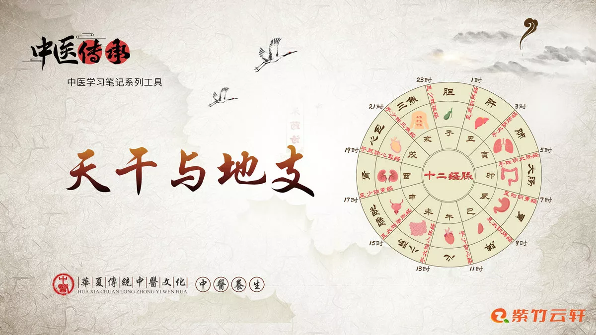 天干与地支-紫竹云轩